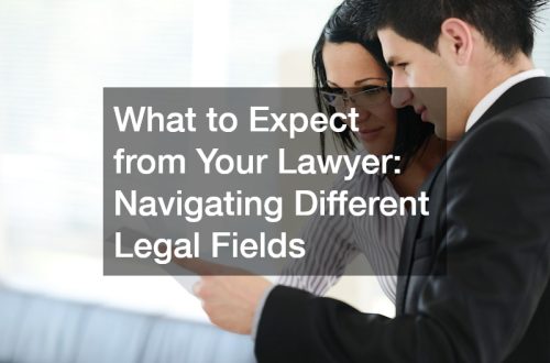 lawyer and client
