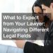 lawyer and client