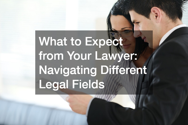 lawyer and client